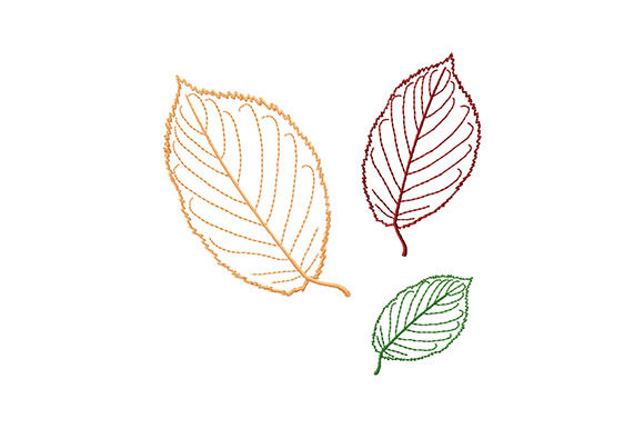 Beech Tree Leaves Embroidery Review