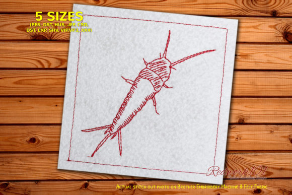 Common Apterygota Embroidery Review