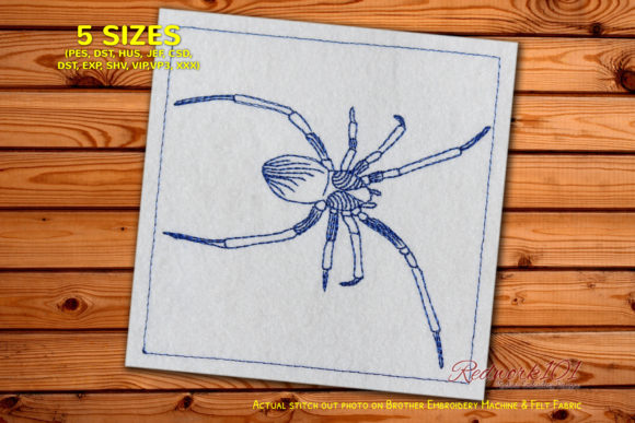 Common House Spiders Redwork Review
