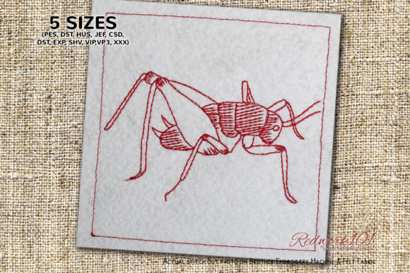 Rhaphidophoridae Bluework Embroidery Review