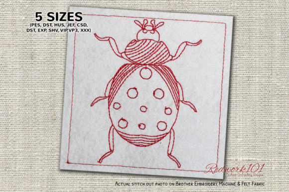 Spoted Coccinellidae Lineart Review